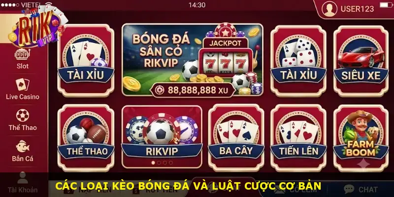 Bóng đá sân cỏ Rikvip - ảnh 2