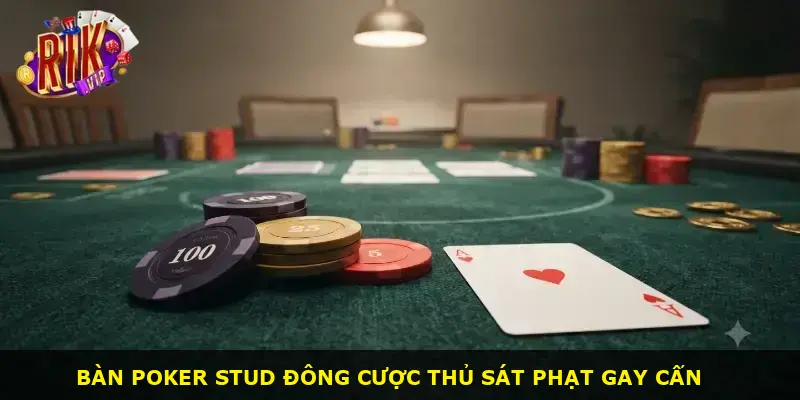 Stud poker Rikvip - ảnh 1