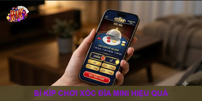 Bí kíp chơi xóc đĩa mini hiệu quả